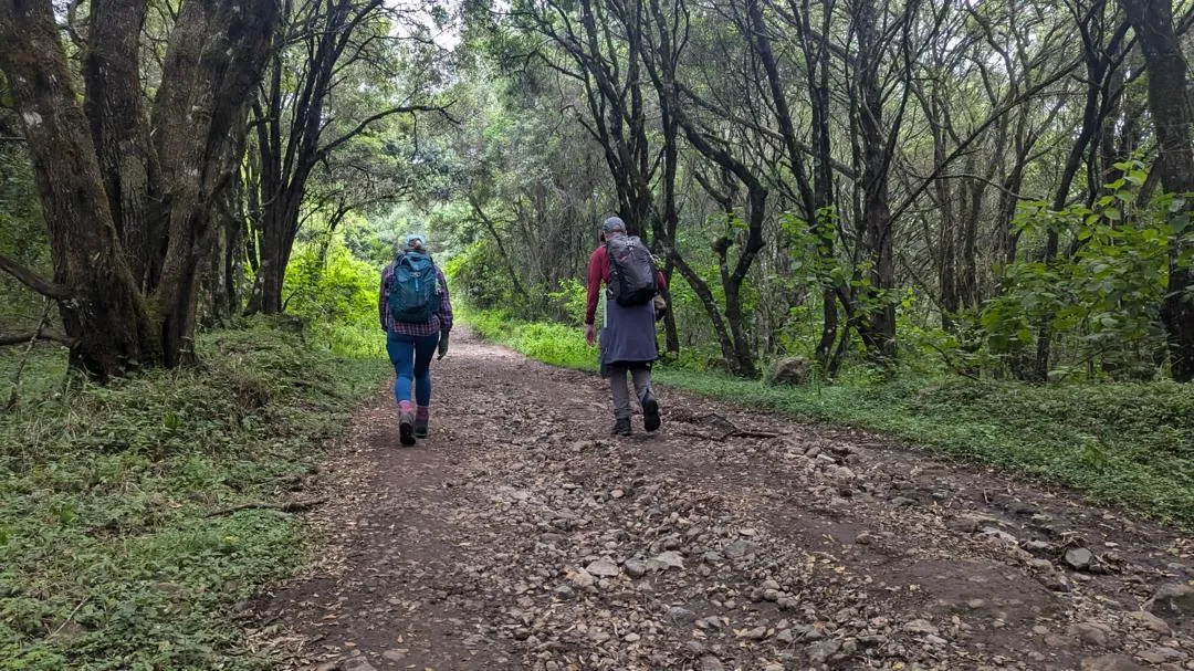 Mount Kilimanjaro trekking landscape